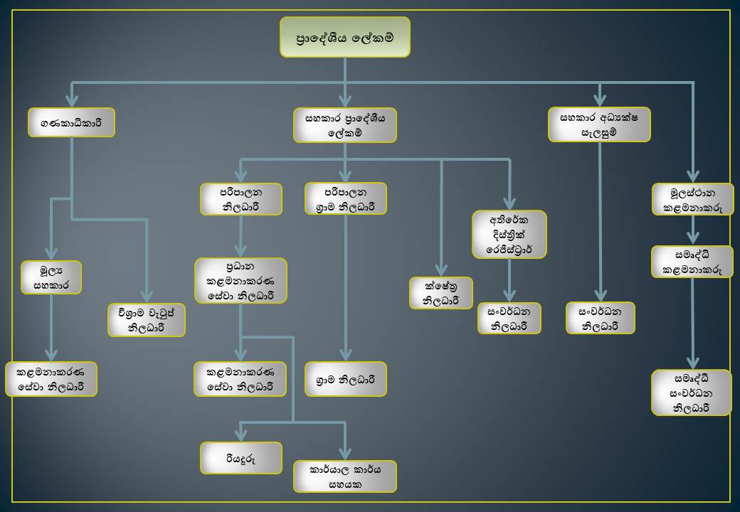 Organisation chart
