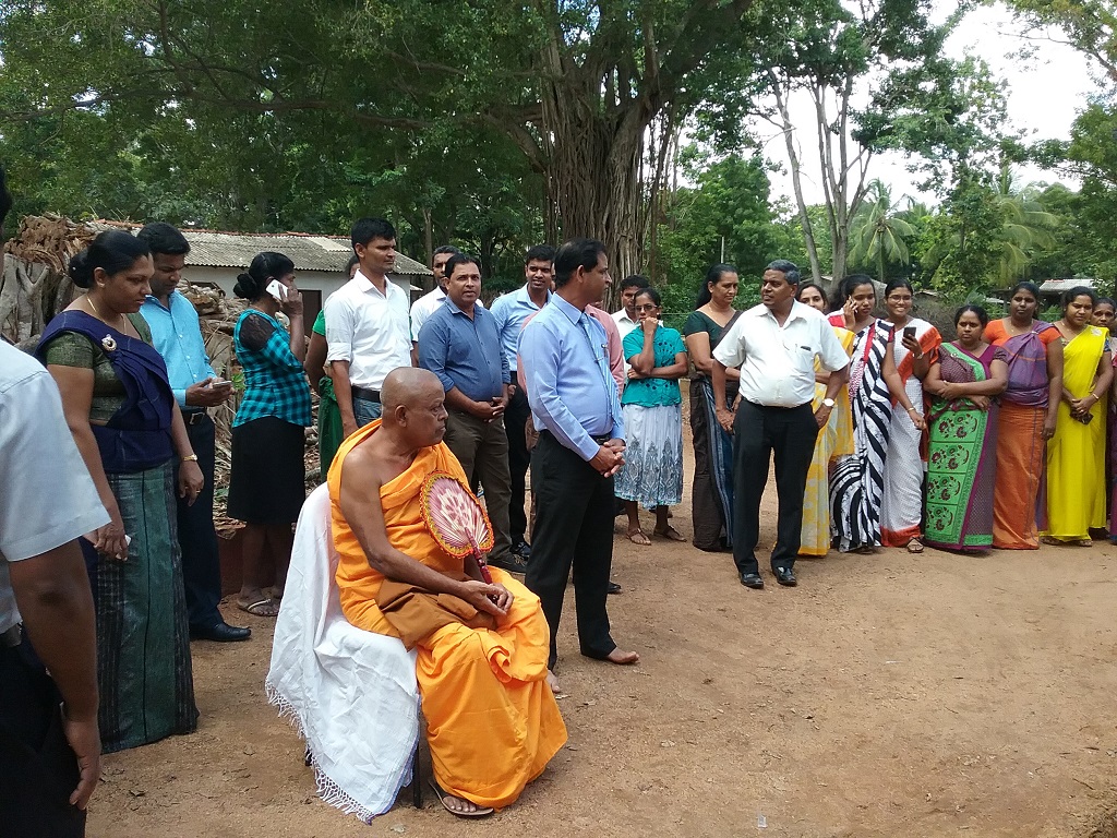 mulgala 4