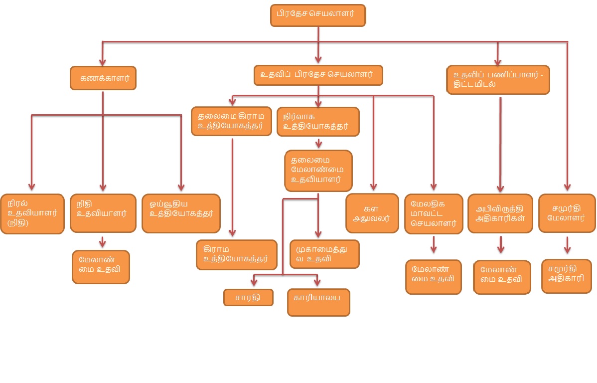 org chart tamil